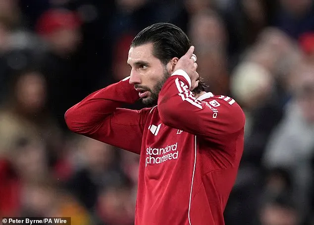 开云下载-索博:我理解球迷的愤怒,但请你们依然站在我们身后